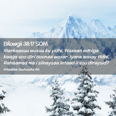 Picture 02 - Bilowgii 38:17 SOM - Markaasuu wuxuu ku yidhi, Waxaan adhiga kaaga soo - Bible Verse Picture