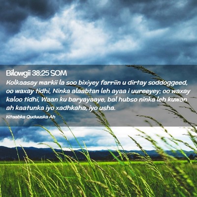 Picture 02 - Bilowgii 38:25 SOM - Kolkaasay markii la soo bixiyey farriin u dirtay - Bible Verse Picture