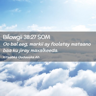 Picture 02 - Bilowgii 38:27 SOM - Oo bal eeg, markii ay foolatay mataano baa ku - Bible Verse Picture