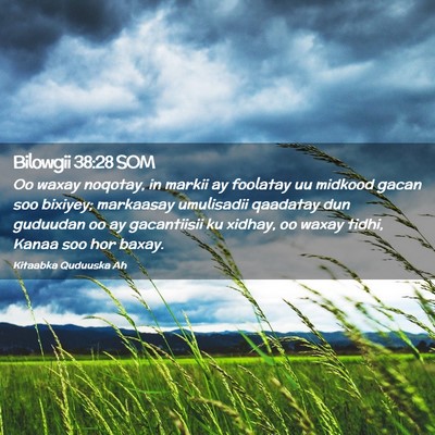 Picture 02 - Bilowgii 38:28 SOM - Oo waxay noqotay, in markii ay foolatay uu - Bible Verse Picture