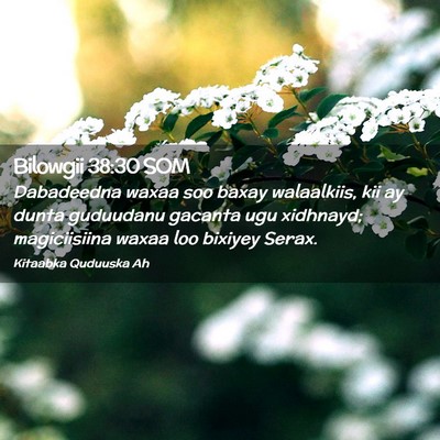 Picture 02 - Bilowgii 38:30 SOM - Dabadeedna waxaa soo baxay walaalkiis, kii ay - Bible Verse Picture