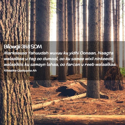 Picture 02 - Bilowgii 38:8 SOM - Markaasaa Yahuudah wuxuu ku yidhi Oonaan, Naagta - Bible Verse Picture