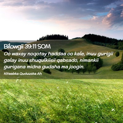 Picture 02 - Bilowgii 39:11 SOM - Oo waxay noqotay haddaa oo kale, inuu gurigii - Bible Verse Picture