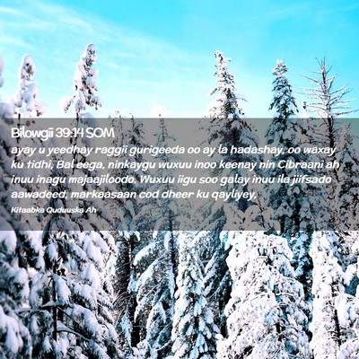Picture 02 - Bilowgii 39:14 SOM - ayay u yeedhay raggii gurigeeda oo ay la - Bible Verse Picture