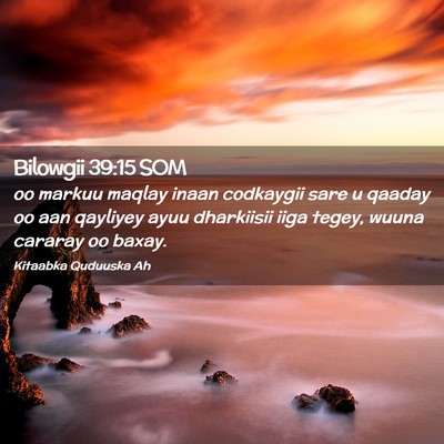 Picture 02 - Bilowgii 39:15 SOM - oo markuu maqlay inaan codkaygii sare u qaaday oo - Bible Verse Picture