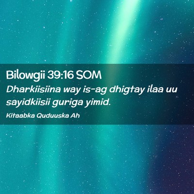 Picture 02 - Bilowgii 39:16 SOM - Dharkiisiina way is-ag dhigtay ilaa uu - Bible Verse Picture