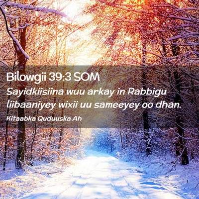 Picture 02 - Bilowgii 39:3 SOM - Sayidkiisiina wuu arkay in Rabbigu liibaaniyey - Bible Verse Picture
