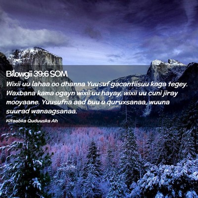 Picture 02 - Bilowgii 39:6 SOM - Wixii uu lahaa oo dhanna Yuusuf gacantiisuu kaga - Bible Verse Picture