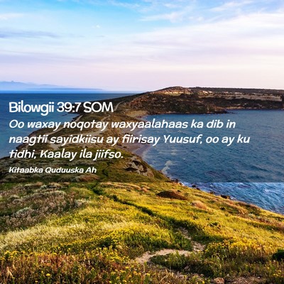 Picture 02 - Bilowgii 39:7 SOM - Oo waxay noqotay waxyaalahaas ka dib in naagtii - Bible Verse Picture