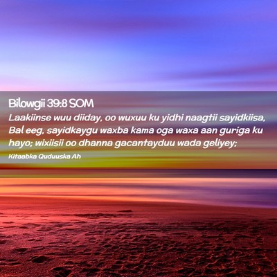 Picture 02 - Bilowgii 39:8 SOM - Laakiinse wuu diiday, oo wuxuu ku yidhi naagtii - Bible Verse Picture