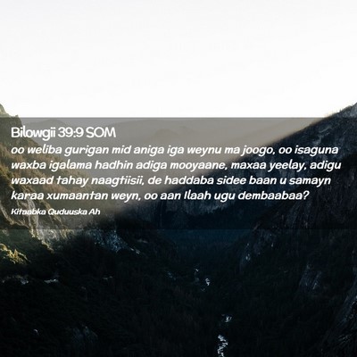 Picture 02 - Bilowgii 39:9 SOM - oo weliba gurigan mid aniga iga weynu ma joogo, - Bible Verse Picture