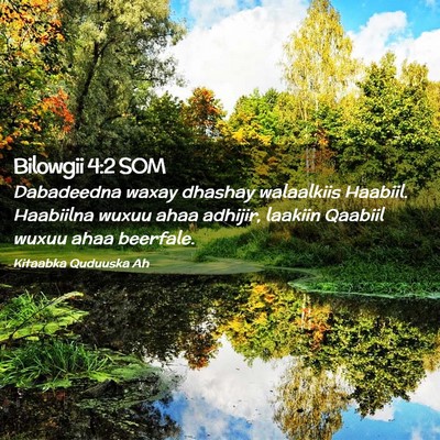 Picture 02 - Bilowgii 4:2 SOM - Dabadeedna waxay dhashay walaalkiis Haabiil. - Bible Verse Picture