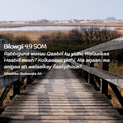Picture 02 - Bilowgii 4:9 SOM - Rabbiguna wuxuu Qaabiil ku yidhi, Walaalkaa - Bible Verse Picture