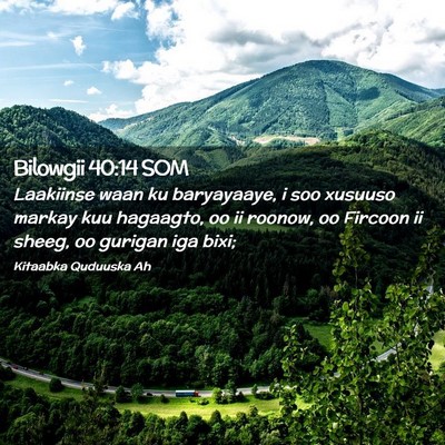 Picture 02 - Bilowgii 40:14 SOM - Laakiinse waan ku baryayaaye, i soo xusuuso - Bible Verse Picture