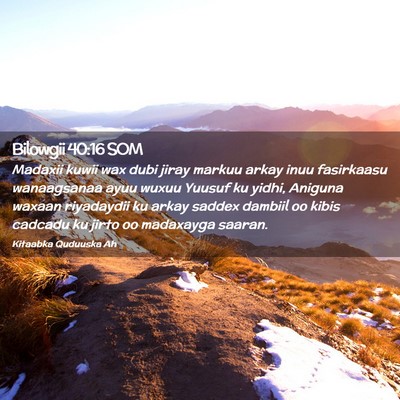 Picture 02 - Bilowgii 40:16 SOM - Madaxii kuwii wax dubi jiray markuu arkay inuu - Bible Verse Picture