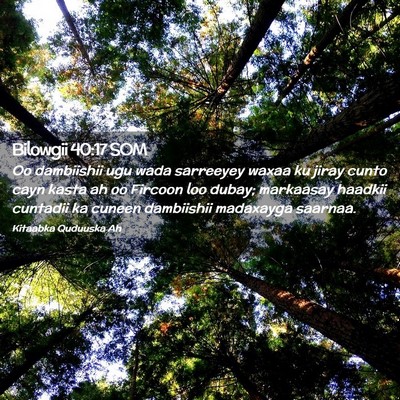 Picture 02 - Bilowgii 40:17 SOM - Oo dambiishii ugu wada sarreeyey waxaa ku jiray - Bible Verse Picture