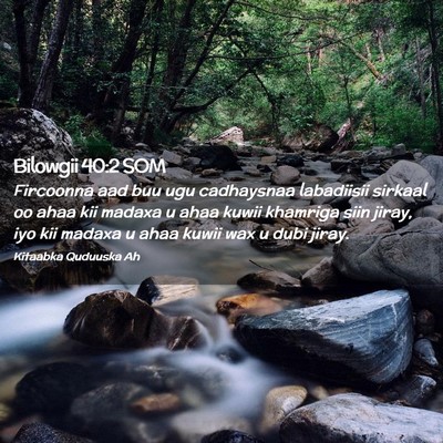 Picture 02 - Bilowgii 40:2 SOM - Fircoonna aad buu ugu cadhaysnaa labadiisii - Bible Verse Picture