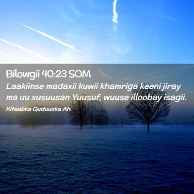 Picture 02 - Bilowgii 40:23 SOM - Laakiinse madaxii kuwii khamriga keeni jiray ma - Bible Verse Picture