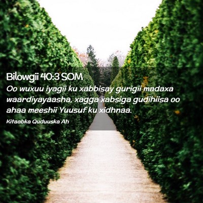 Picture 02 - Bilowgii 40:3 SOM - Oo wuxuu iyagii ku xabbisay gurigii madaxa - Bible Verse Picture