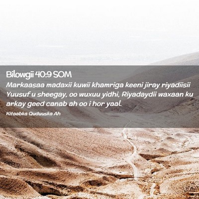 Picture 02 - Bilowgii 40:9 SOM - Markaasaa madaxii kuwii khamriga keeni jiray - Bible Verse Picture