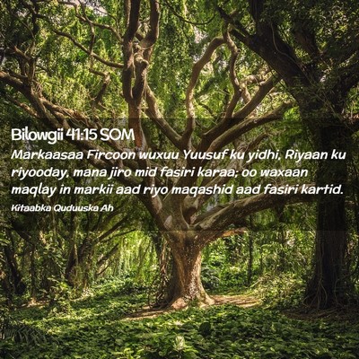 Picture 02 - Bilowgii 41:15 SOM - Markaasaa Fircoon wuxuu Yuusuf ku yidhi, Riyaan - Bible Verse Picture