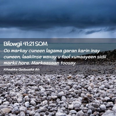 Picture 02 - Bilowgii 41:21 SOM - Oo markay cuneen lagama garan karin inay cuneen, - Bible Verse Picture