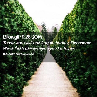 Picture 02 - Bilowgii 41:28 SOM - Taasu waa wixii aan kugula hadlay, Fircoonow. - Bible Verse Picture
