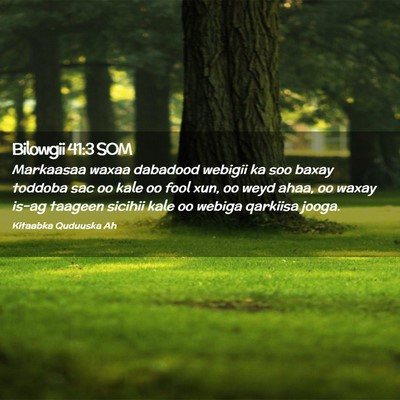 Picture 02 - Bilowgii 41:3 SOM - Markaasaa waxaa dabadood webigii ka soo baxay - Bible Verse Picture