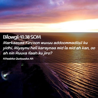 Picture 02 - Bilowgii 41:38 SOM - Markaasaa Fircoon wuxuu addoommadiisii ku yidhi, - Bible Verse Picture