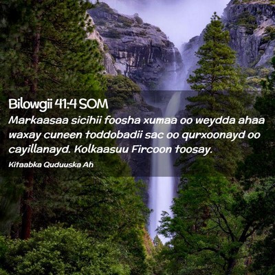 Picture 02 - Bilowgii 41:4 SOM - Markaasaa sicihii foosha xumaa oo weydda ahaa - Bible Verse Picture