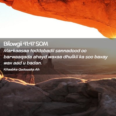 Picture 02 - Bilowgii 41:47 SOM - Markaasaa toddobadii sannadood oo barwaaqada - Bible Verse Picture