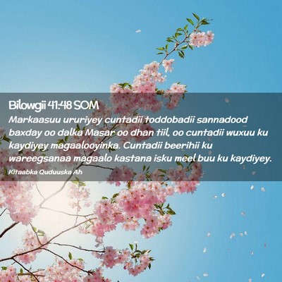 Picture 02 - Bilowgii 41:48 SOM - Markaasuu ururiyey cuntadii toddobadii sannadood - Bible Verse Picture