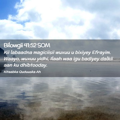 Picture 02 - Bilowgii 41:52 SOM - Kii labaadna magiciisii wuxuu u bixiyey Efrayim. - Bible Verse Picture