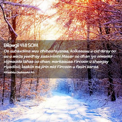 Picture 02 - Bilowgii 41:8 SOM - Oo subaxdiina wuu dhibaataysnaa, kolkaasuu u cid - Bible Verse Picture