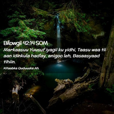 Picture 02 - Bilowgii 42:14 SOM - Markaasuu Yuusuf iyagii ku yidhi, Taasu waa tii - Bible Verse Picture