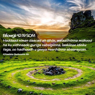 Picture 02 - Bilowgii 42:19 SOM - Haddaad niman daacad ah tihiin, walaalihiinna - Bible Verse Picture