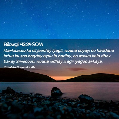 Picture 02 - Bilowgii 42:24 SOM - Markaasuu ka sii jeestay iyagii, wuuna ooyay; oo - Bible Verse Picture