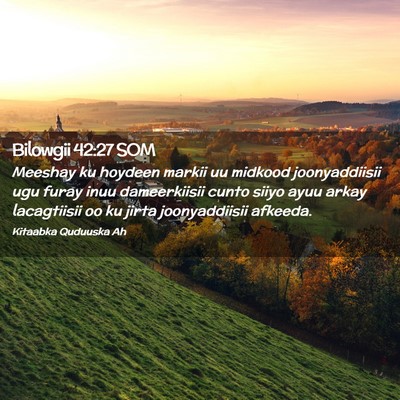 Picture 02 - Bilowgii 42:27 SOM - Meeshay ku hoydeen markii uu midkood - Bible Verse Picture