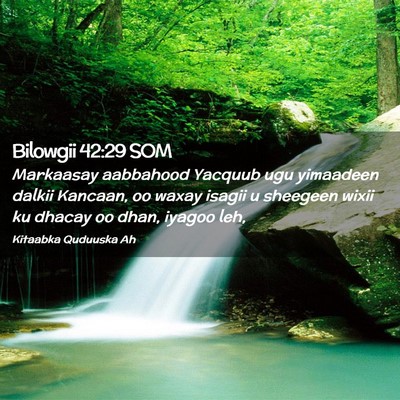 Picture 02 - Bilowgii 42:29 SOM - Markaasay aabbahood Yacquub ugu yimaadeen dalkii - Bible Verse Picture