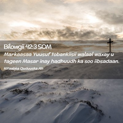 Picture 02 - Bilowgii 42:3 SOM - Markaasaa Yuusuf tobankiisii walaal waxay u - Bible Verse Picture