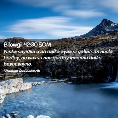 Picture 02 - Bilowgii 42:30 SOM - Ninka sayidka u ah dalka ayaa si qallafsan noola - Bible Verse Picture