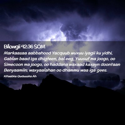Picture 02 - Bilowgii 42:36 SOM - Markaasaa aabbahood Yacquub wuxuu iyagii ku - Bible Verse Picture