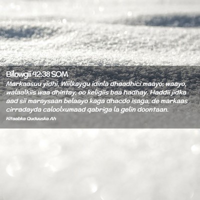 Picture 02 - Bilowgii 42:38 SOM - Markaasuu yidhi, Wiilkaygu idinla dhaadhici - Bible Verse Picture