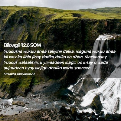 Picture 02 - Bilowgii 42:6 SOM - Yuusufna wuxuu ahaa taliyihii dalka, isaguna - Bible Verse Picture