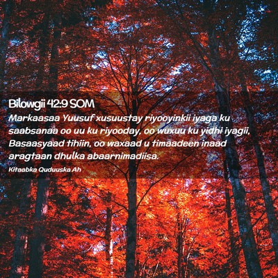 Picture 02 - Bilowgii 42:9 SOM - Markaasaa Yuusuf xusuustay riyooyinkii iyaga ku - Bible Verse Picture