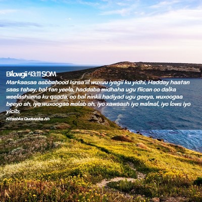 Picture 02 - Bilowgii 43:11 SOM - Markaasaa aabbahood Israa'iil wuxuu iyagii ku - Bible Verse Picture