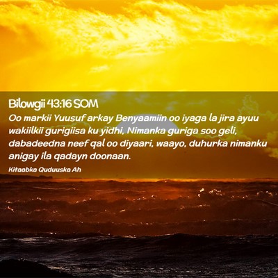 Picture 02 - Bilowgii 43:16 SOM - Oo markii Yuusuf arkay Benyaamiin oo iyaga la - Bible Verse Picture