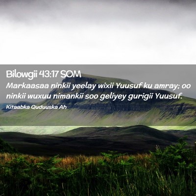 Picture 02 - Bilowgii 43:17 SOM - Markaasaa ninkii yeelay wixii Yuusuf ku amray; oo - Bible Verse Picture