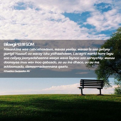 Picture 02 - Bilowgii 43:18 SOM - Nimankiina waa cabcabsadeen, maxaa yeelay, waxaa - Bible Verse Picture