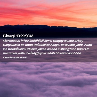 Picture 02 - Bilowgii 43:29 SOM - Markaasuu intuu indhihiisii kor u taagay wuxuu - Bible Verse Picture